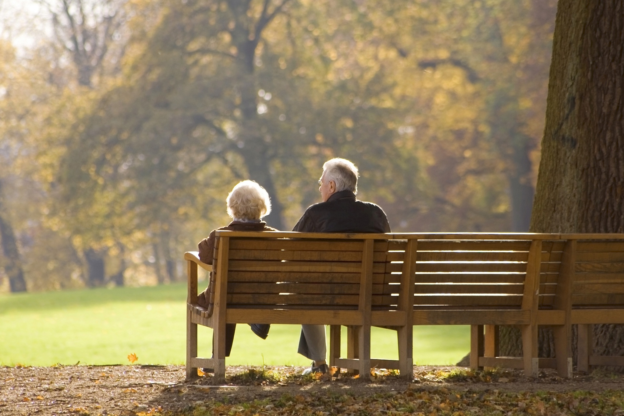 Couple on park bench