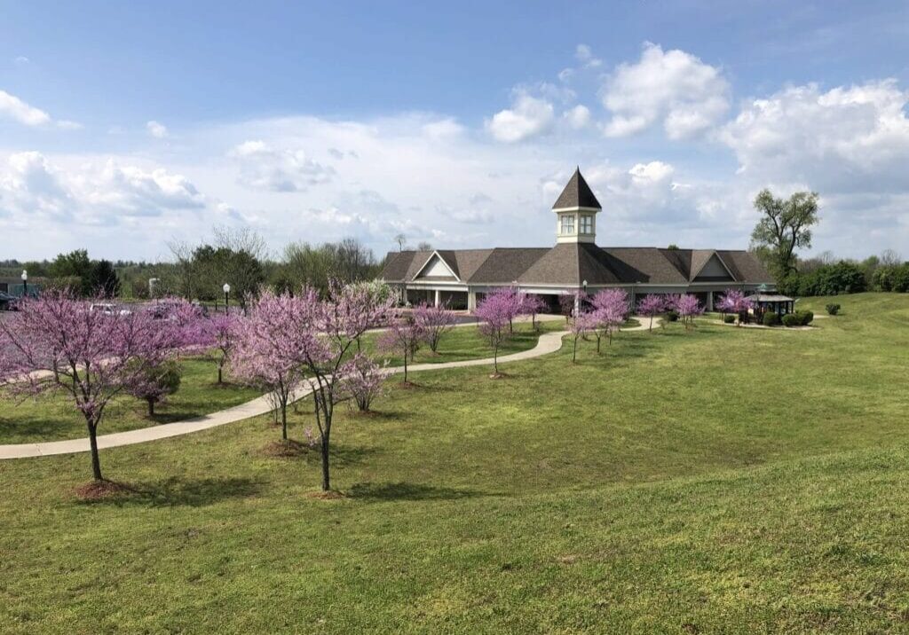 Plum trees in bloom on the Compassionate Care Center grounds.